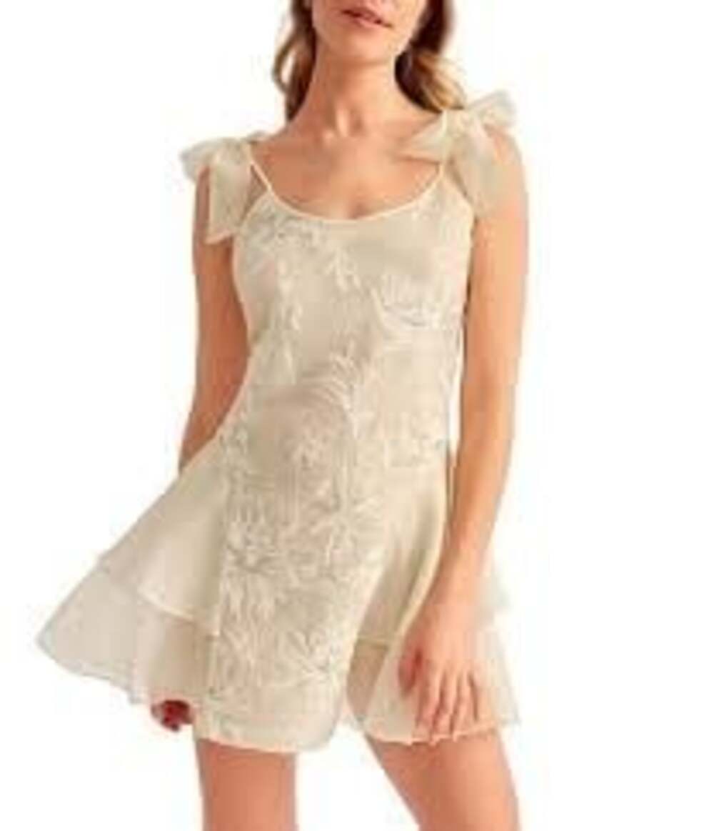 Rya Collection Voltaire Embroidered Tiered Chemise Nightgown Size S Pearl